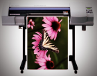 Full Colour Printing Full Colour Printing